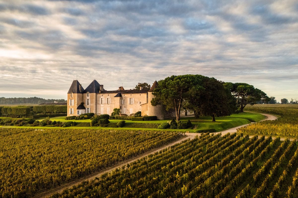 Château d’Yquem 2024 (C) Federico Garcia